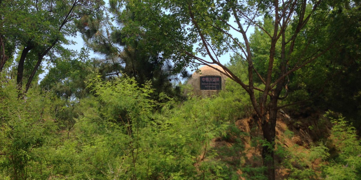 file (4) Sino-German Financial Cooperation