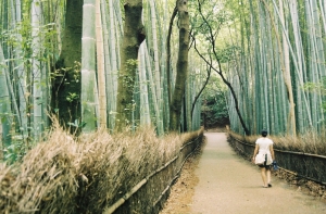 Bamboo_forest_Arashiyama_Kyoto_oliveheartkimchi-1024x675