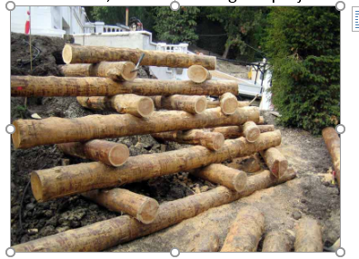 Restoration Methods for Small Waterbodies around Beijing 