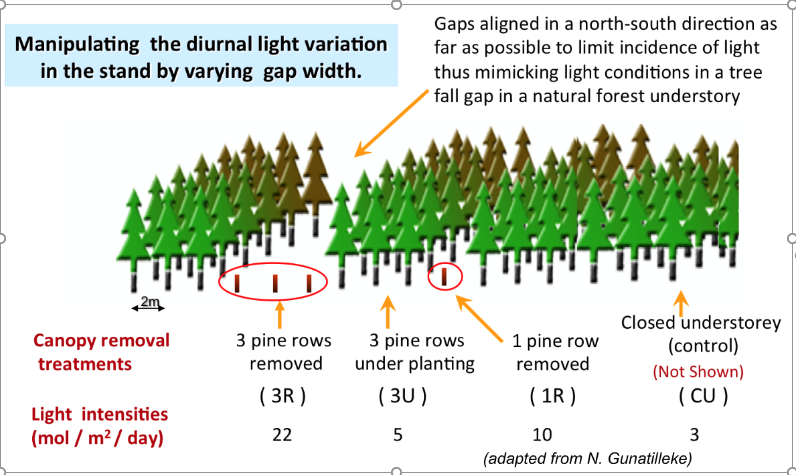 Case Study Forest Restoration Using Relay Floristics in Sri Lanka