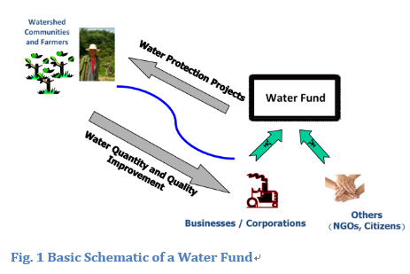 Financial Funds as an Instrument for Watershed Protection