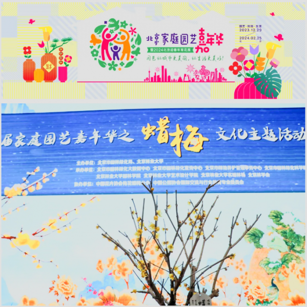 屏幕截图 2024-04-19 063111