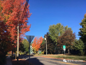 微信图片_20210430172548