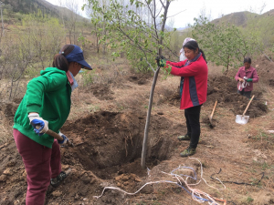 微信图片_20210430134133